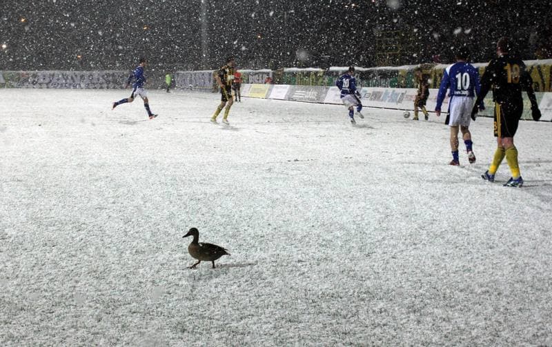 Football. I liga. GKS Katowice - Dolcan Zabki. 31.03.2012