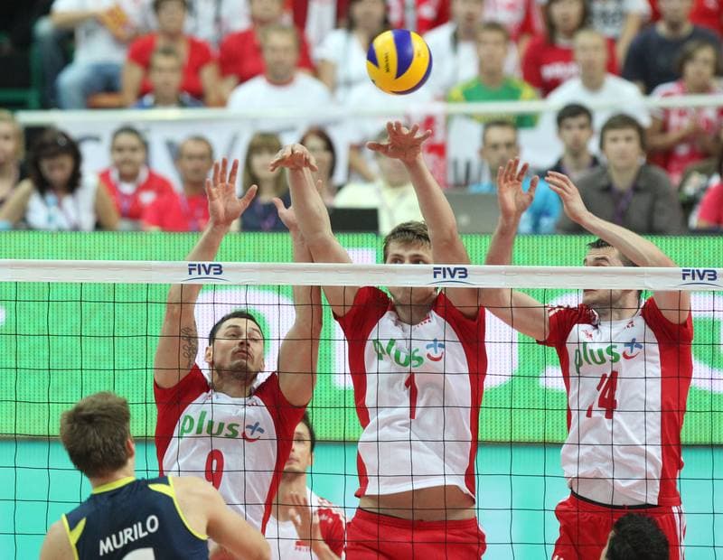Volleyball. World League. Poland - Brazil. 29.06.2011
