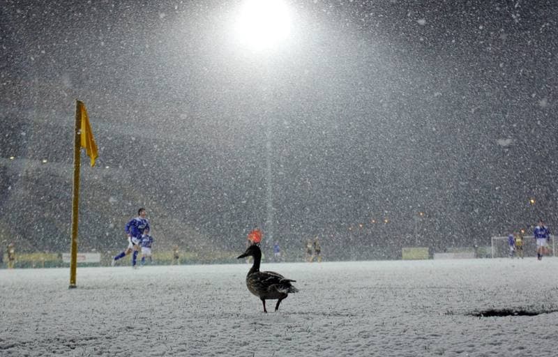 Football. I liga. GKS Katowice - Dolcan Zabki. 31.03.2012