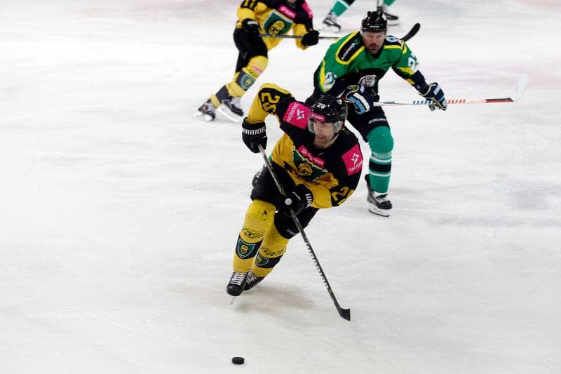 Ice Hockey. Tauron Hokej Liga. Tauron KH GKS Katowice - JKH GKS Jastrzebie. 16.01.2019