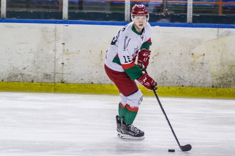 Ice Hockey. PHL. Zaglebie Sosnowiec - Comarch Cracovia. 04.12.2020