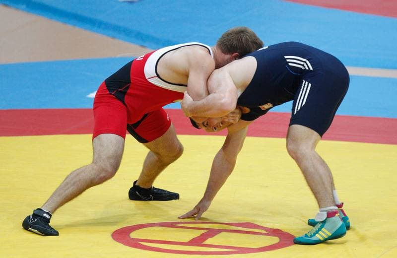 Wrestling. Memorial im Waclaw Ziolkowski. Day 1. 02.08.2014