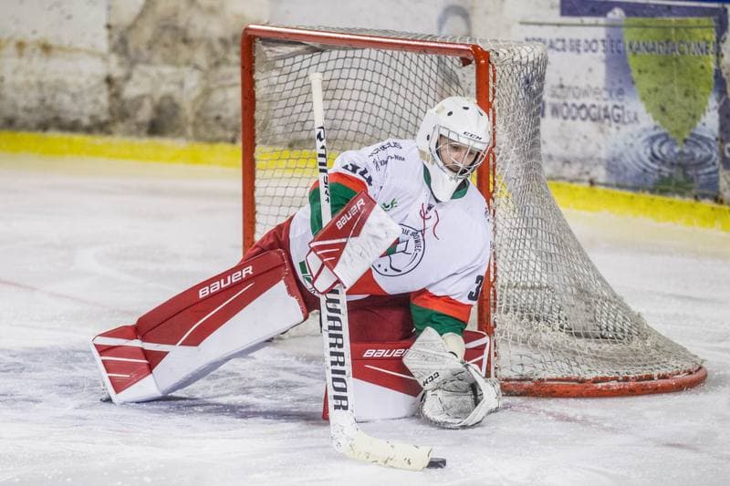 Ice Hockey. PHL. Zaglebie Sosnowiec - Stoczniowiec Gdansk. 06.01.2021
