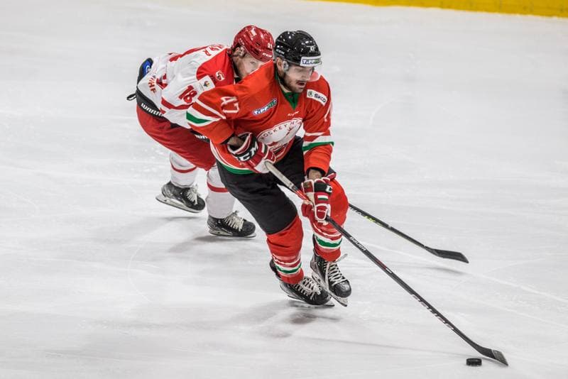 Ice Hockey. EIHC Christmas Cup. Poland - Hungary. 17.12.2021