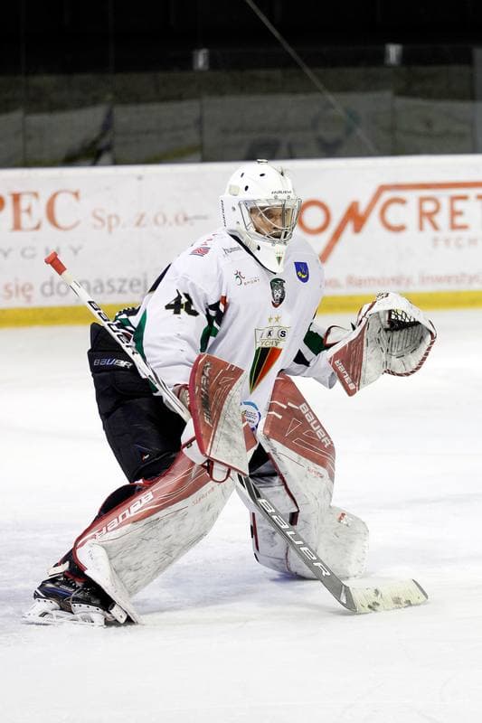 Ice Hockey. Polska Hokej Liga. GKS Tychy - Orlik Opole. 13.01.2017