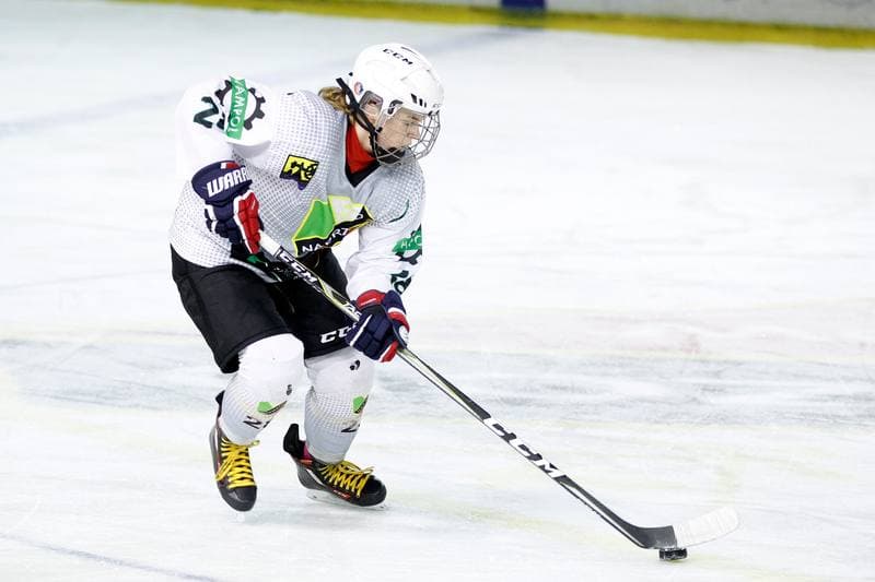 Ice Hockey. PLHK. Naprzod Janow - Unia Oswiecim. 20.01.2018