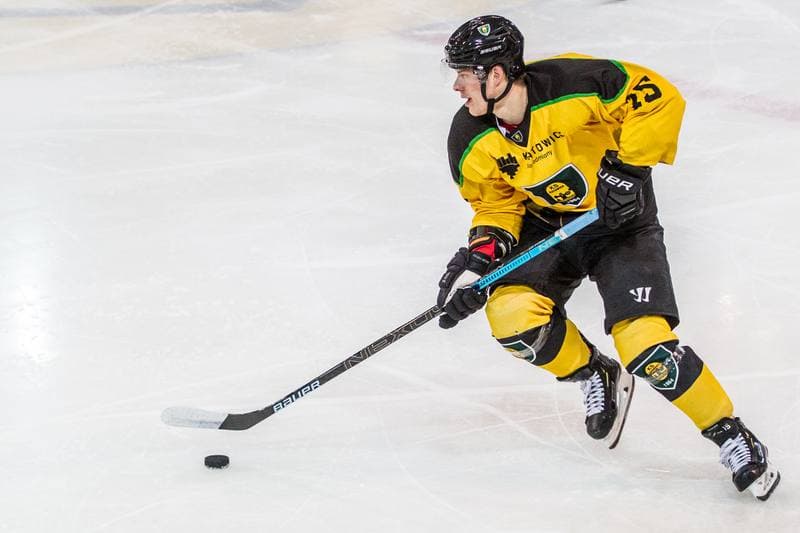 Ice Hockey. PHL. GKS Katowice - Naprzod Janow. 01.12.2019