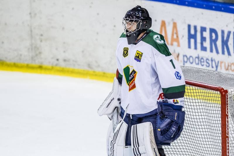 Ice Hockey. Polska Hokej Liga. Naprzod Janow - Energa Torun. 22.09.2019