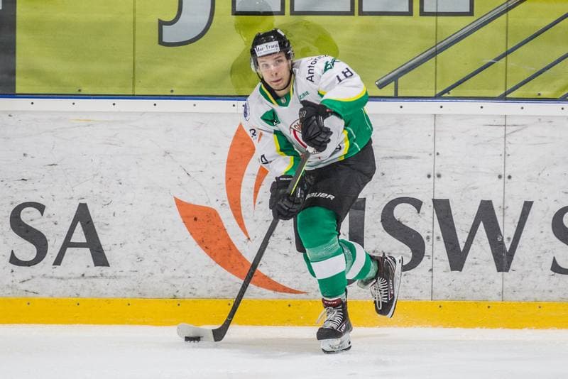 Ice Hockey. PHL. JKH GKS Jastrzebie - Stoczniowiec Gdansk. 17.01.2021