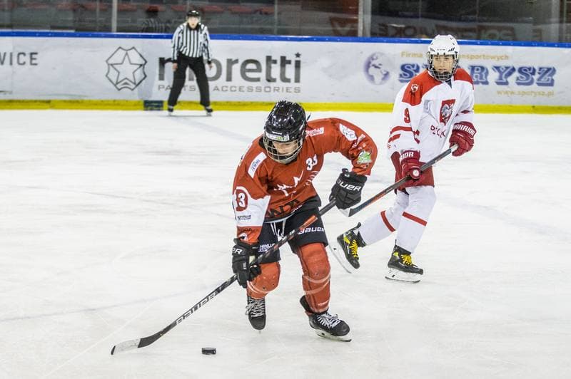 Ice Hockey. EWHL. Polska - KMH Budapeszt. 20.02.2021
