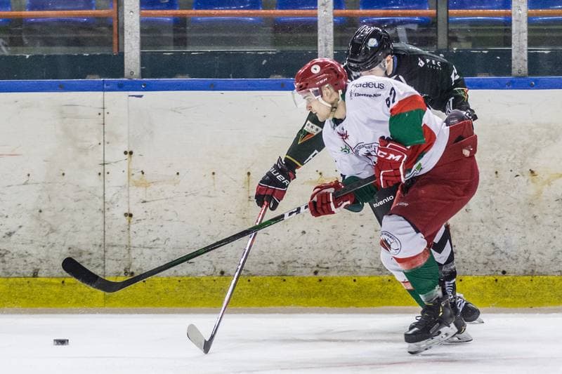 Ice Hockey. Polska Hokej Liga. Zaglebie Sosnowiec - GKS Tychy. 17.02.2021