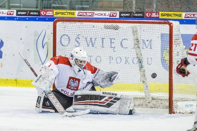Ice Hockey. EWHL. Polska - KMH Budapeszt. 20.02.2021