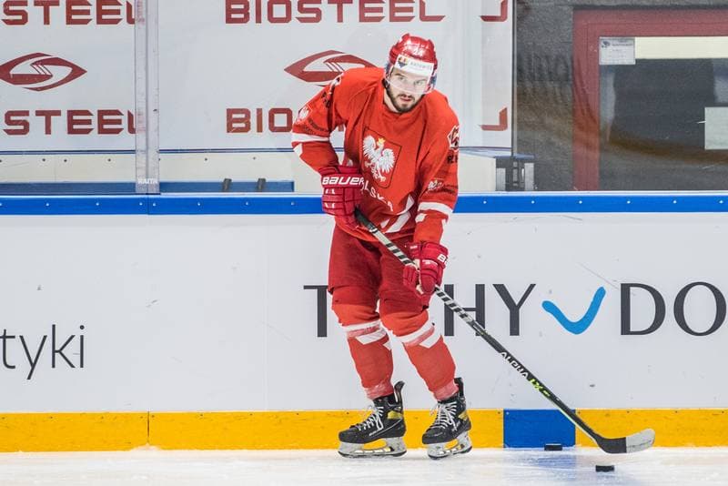 Ice Hockey. Poland national team. Training. 29.04.2022