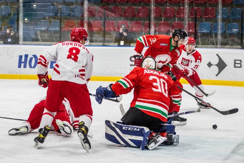 Ice Hockey. EIHC Christmas Cup. Poland - Hungary. 17.12.2021