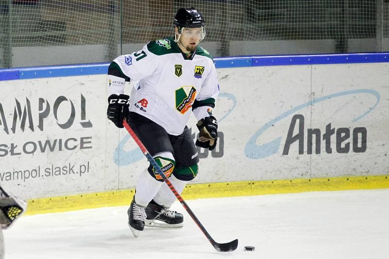 Ice Hockey. Polska Hokej Liga. Naprzod Janow - Zaglebie Sosnowiec. 23.02.2019