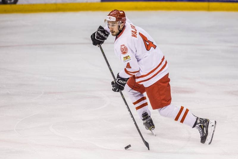 Ice Hockey. Euro Ice Hockey Challenge. Poland - Italy. 09.11.2019