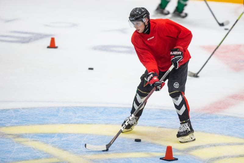 Ice Hockey. GKS Tychy. Training. 26.07.2022