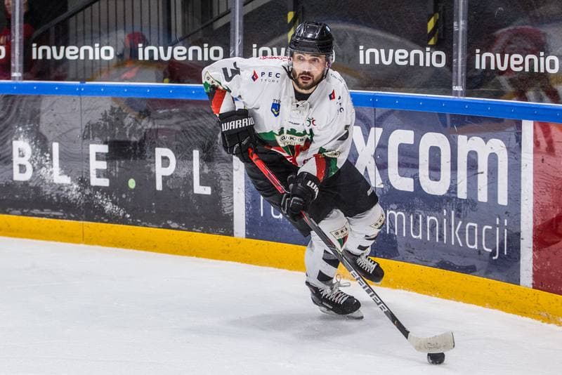 Ice Hockey. PHL. GKS Tychy - Zaglebie Sosnowiec. 17.01.2020