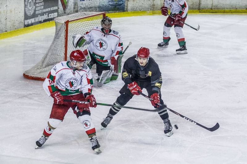 Ice Hockey. PHL. Zaglebie Sosnowiec - Comarch Cracovia. 31.01.2020