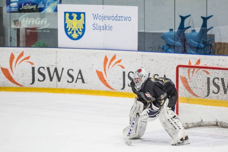 Ice Hockey. PHL. JKH GKS Jastrzebie - Comarch Cracovia. 07.03.2020