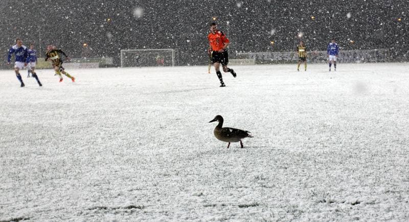 Football. I liga. GKS Katowice - Dolcan Zabki. 31.03.2012