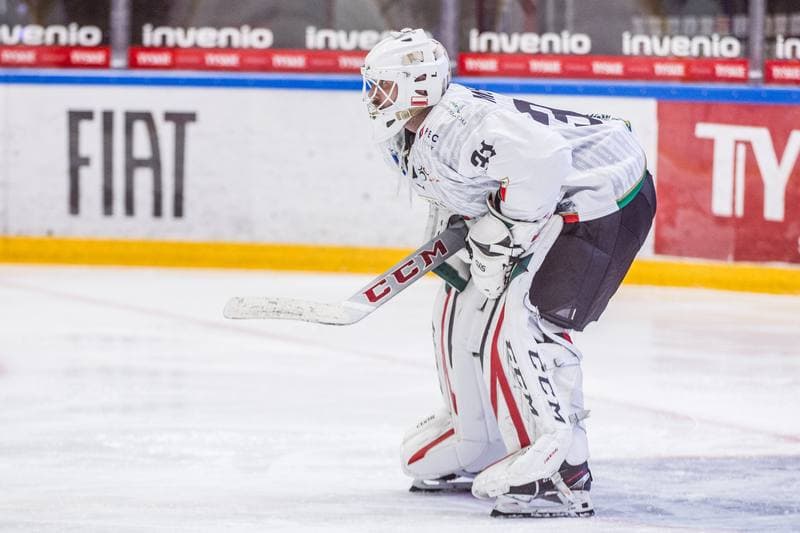 Ice Hockey. PHL. GKS Tychy - JKH GKS Jastrzebie. 29.11.2020