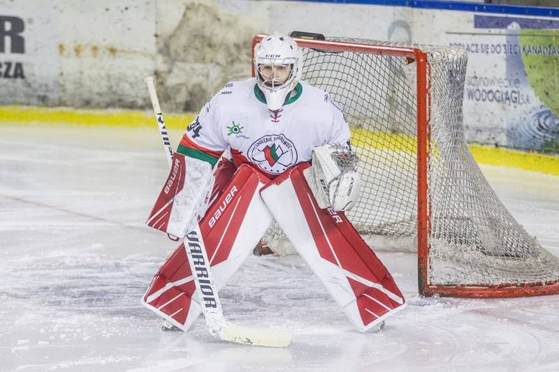 Ice Hockey. PHL. Zaglebie Sosnowiec - Re-Plast Unia Oswiecim. 10.01.2021