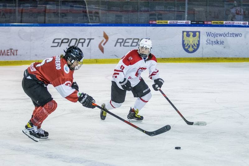 Ice Hockey. EWHL. Polska - KMH Budapeszt. 21.02.2021