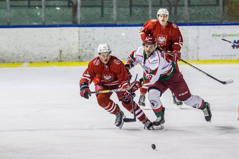Ice Hockey. PHL. Zaglebie Sosnowiec - Kadra U23 PZHL. 28.11.2019