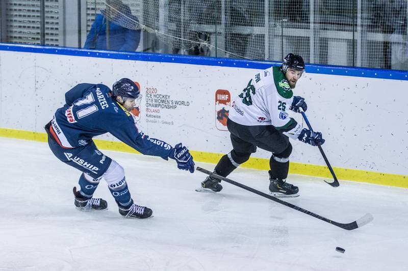 Ice Hockey. PHL. Naprzod Janow - Lotos PKH Gdansk. 20.01.2020