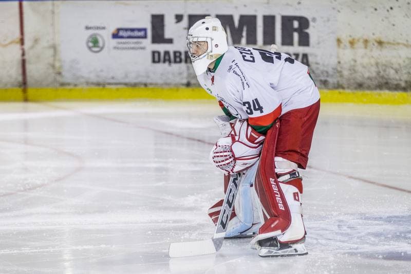 Ice Hockey. Polska Hokej Liga. Zaglebie Sosnowiec - GKS Tychy. 17.02.2021