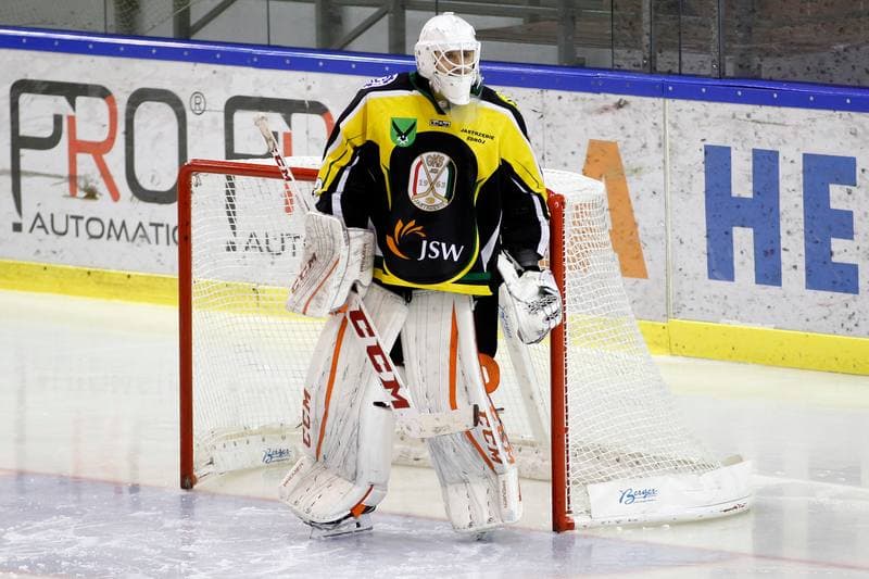 Ice Hockey. Polska Hokej Liga. Anteo Naprzod Janow - JKH GKS Jastrzebie. 03.12.2017