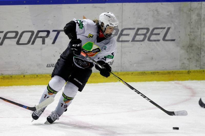 Ice Hockey. PLHK. Naprzod Janow - Unia Oswiecim. 20.01.2018