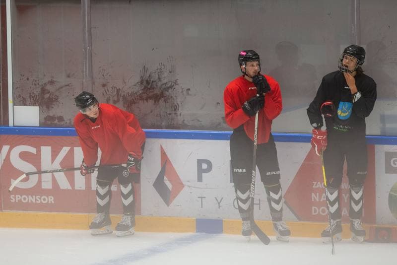 Ice Hockey. GKS Tychy. Training. 26.07.2022