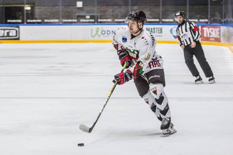 Ice Hockey. PHL. GKS Tychy - Zaglebie Sosnowiec. 15.11.2019