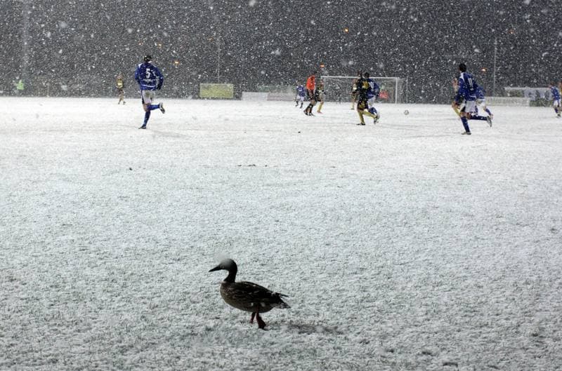 Football. I liga. GKS Katowice - Dolcan Zabki. 31.03.2012