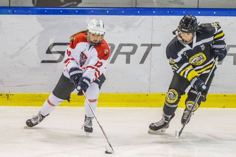 Ice Hockey. EWHL. Polska - DEC Salzburg Eagles. 07.02.2021