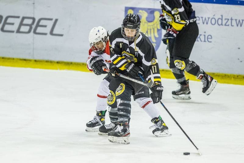 Ice Hockey. EWHL. Polska - DEC Salzburg Eagles. 07.02.2021