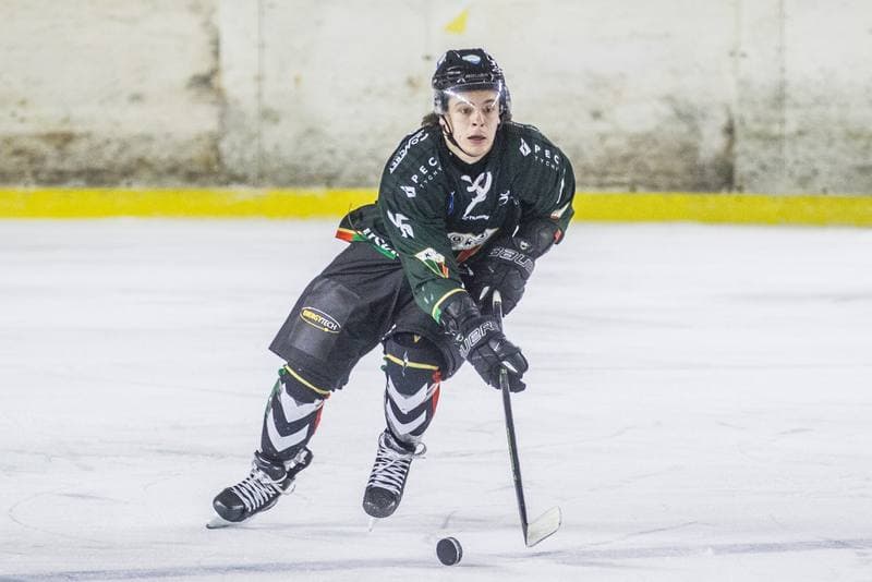 Ice Hockey. Polska Hokej Liga. Zaglebie Sosnowiec - GKS Tychy. 17.02.2021