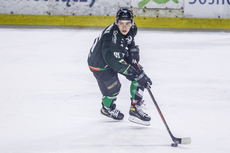 Ice Hockey. Polska Hokej Liga. Zaglebie Sosnowiec - GKS Tychy. 17.02.2021