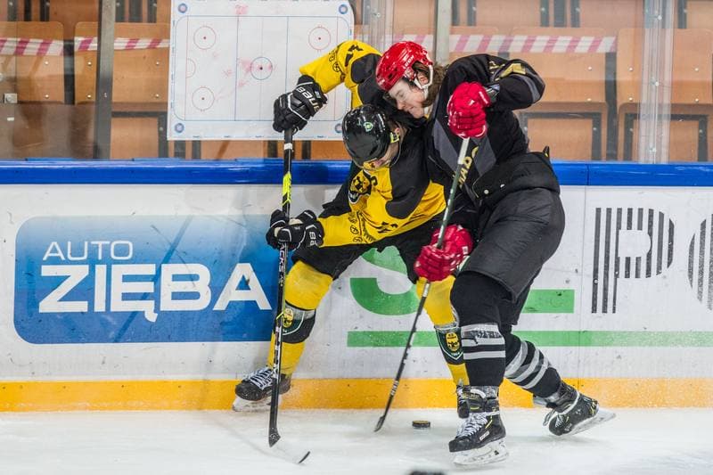 Ice Hockey. PHL. GKS Katowice - Comarch Cracovia. 19.02.2021
