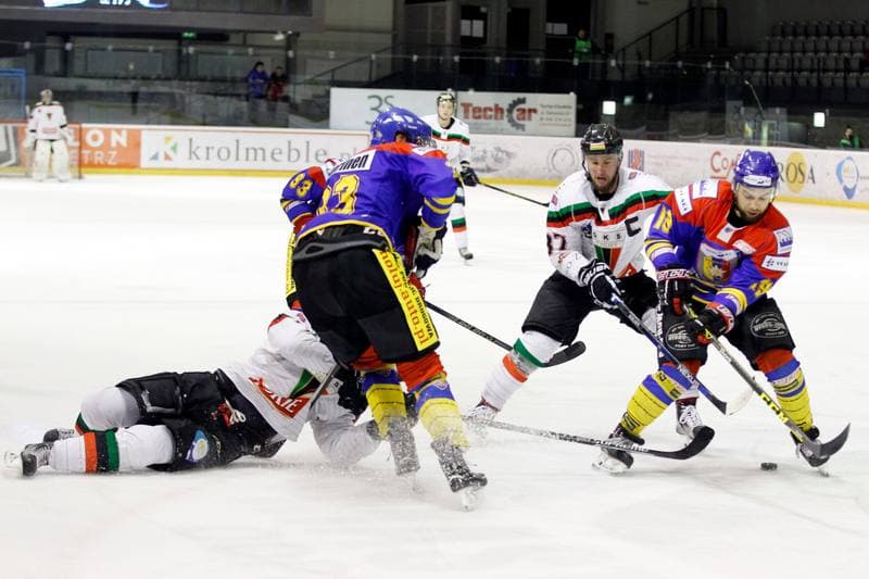 Ice Hockey. Polska Hokej Liga. GKS Tychy - Podhale Nowy Targ. 29.01.2016