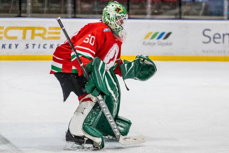 Ice Hockey. EIHC Christmas Cup. Hungary - Ukraine. 16.12.2021