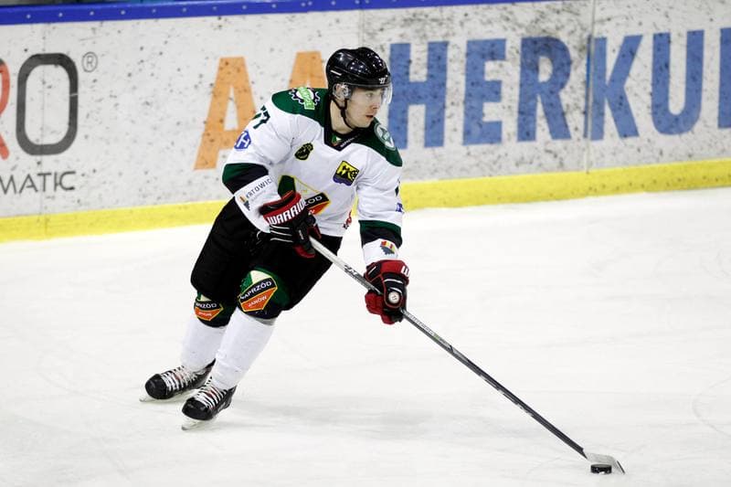 Ice Hockey. Polska Hokej Liga. Naprzod Janow - Zaglebie Sosnowiec. 23.02.2019
