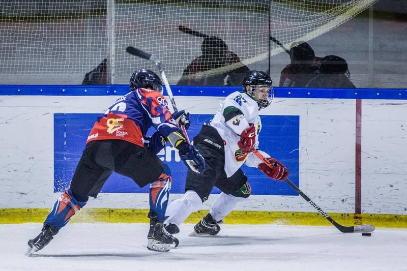 Ice Hockey. PHL. Naprzod Janow - Energa Torun. 31.01.2020