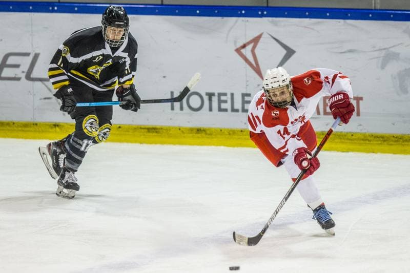 Ice Hockey. EWHL. Polska - DEC Salzburg Eagles. 07.02.2021