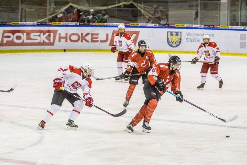 Ice Hockey. EWHL. Polska - KMH Budapeszt. 20.02.2021