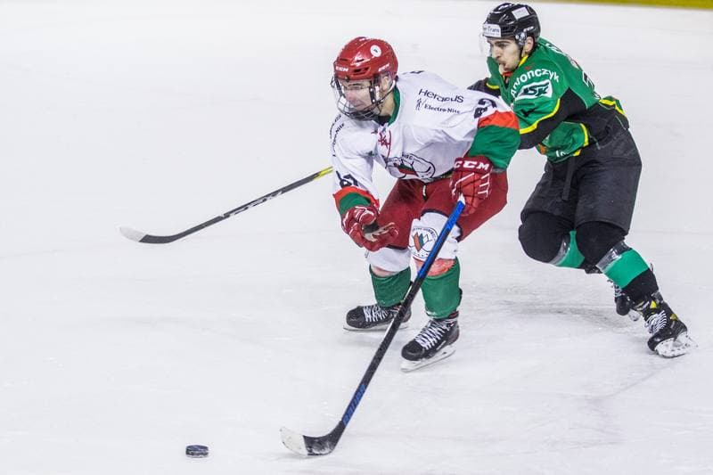 Ice Hockey. PHL. Zaglebie Sosnowiec - JKH GKS Jastrzebie. 15.01.2021
