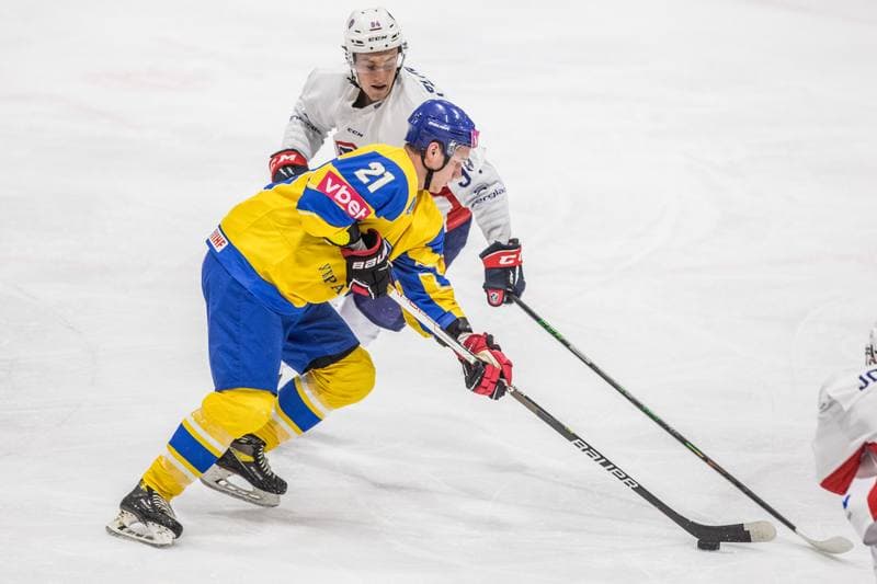 Ice Hockey. EIHC Christmas Cup. France - Ukraine. 17.12.2021