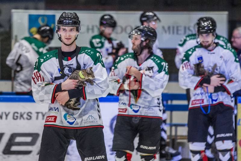 Ice Hockey. PHL. GKS Tychy - Comarch Cracovia. 22.12.2021